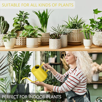 Watering Can Indoor Plants, 35oz Small Stainless Steel Metal Watering Can Modern Decorative Watering Pot with Long Spout for Indoor House Plant Bonsai Garden Flowers (Yellow)