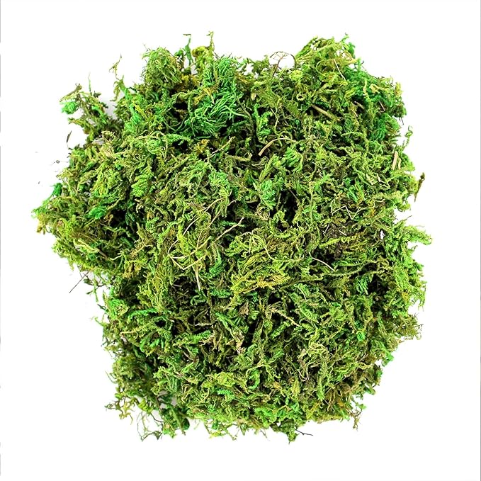 SuperMoss (23801) Mountain Moss – Natural Green Sphagnum Moss for Soil Top Dressing, Potting Mix, Garden Decor, and Craft Projects, 120 cu in, Preserved