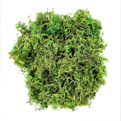 SuperMoss (23801) Mountain Moss – Natural Green Sphagnum Moss for Soil Top Dressing, Potting Mix, Garden Decor, and Craft Projects, 120 cu in, Preserved