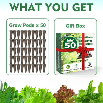 Seed Starter Grow Sponges for Aerogarden, PH-Balanced Refill-Seed Pods Replacements for Indoor Hydroponic System, 50 Pack, Brown