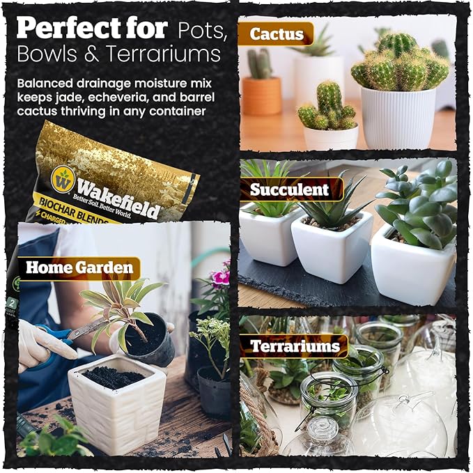 Wakefield Biochar Blend Potting Mix for Cactus & Succulent – Premium Potting Soil Blend with CarbonBoost Technology for Superior Drainage, Moisture Retention & Root Growth – 2 QT Organic Soil Mix
