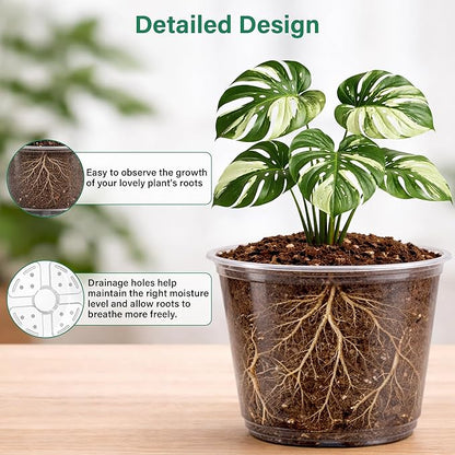 20 Pack 8/6/5/4/3.5 Inch Reinforced Large Clear Nursery Pots with Drainage Hole, Transparent Variety Pack Plastic Plant Pot for Vegetable Propagation, Root Cutting, Seed Starting