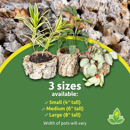 Josh's Frogs Virgin Cork Planters (6 inch Tall)