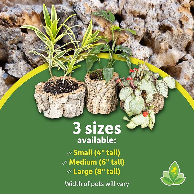 Josh's Frogs Virgin Cork Planters (8 inch Tall)