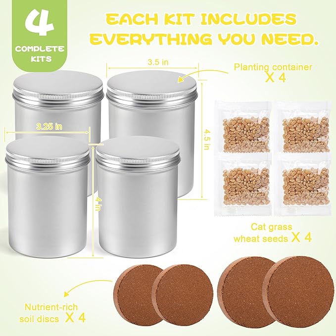 4 Pack Cat Grass Seeds Kit for Indoor Cats, Beginner Friendly Easy Grow Cat Grass Growing Kit, Fast Germinating, Natural Hairball Control, Safe Chewing Grass for Cats & Kittens