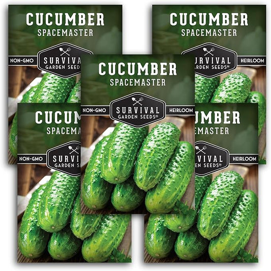 Spacemaster Cucumber Seeds for Planting | Compact Heirloom Non-GMO Variety for Small-Space Gardens – Survival Garden Seeds (5 Packs)