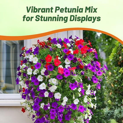 Outsidepride Hybrida Mix Petunia Seeds - 5000 Pcs. Annual, Compact & Versatile Flower Seeds for Planting Low Growing Vibrant Blooms, Ideal for Garden Beds, Hanging Baskets & Container Displays