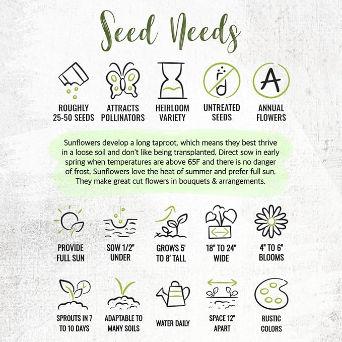 Seed Needs Heirloom Sunflower Seed Packet Favors for Party Events - Pre-Filled & Ready to Hand Out - Great for Weddings, Bridal Showers, Memorials, Fundraisers (30 Packets)