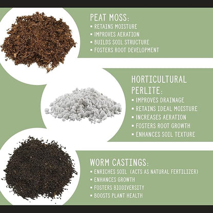 Soil Sunrise All Natural Seed Starting Mix (4 Quarts) Expert Grade Seed Starter Potting Mix, Start Herbs, Vegetables, and Other Grass