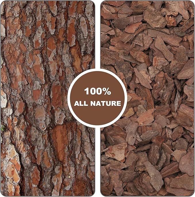 Orchid Bark 1qt, Natural Pine Bark Mulch for Plants, Great for Orchids, Succulents, Cactus, Bonsai, Ideal for Houseplant Mulch