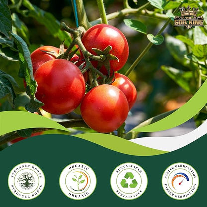 Soil King Big Rootz Organic Potting Soil Mix, CDFA & EnvirOganic Certified, pH Adjusted with Mycorrhizae, Balanced Fertilizers & Minerals for Long-Lasting Nutrition, Indoor & Outdoor Use, 40 lb