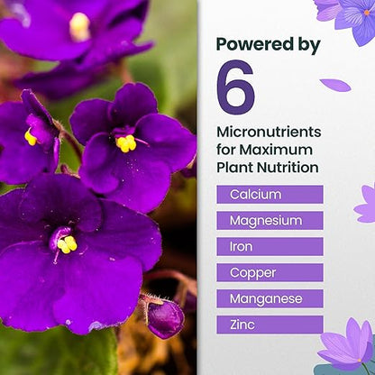 32oz African Violet Fertilizer for African Violets Live Plants - Makes 48 Gallons of Indoor Plant Food for Houseplants, Balanced Macro & Micronutrients Formula for Vibrant Blooms & Lush Foliage