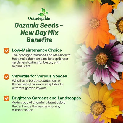 Outsidepride New Day Mixed Gazania Seeds for Planting – 50 Pcs Perennial, Low-Maintenance, Drought-Tolerant Ground Cover Seeds for Vibrant Summer & Fall Flowers, Great for Outdoor Gardens