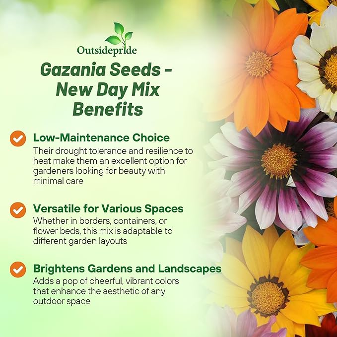 Outsidepride New Day Mixed Gazania Seeds for Planting – 25 Pcs Perennial, Low-Maintenance, Drought-Tolerant Ground Cover Seeds for Vibrant Summer & Fall Flowers, Great for Outdoor Gardens