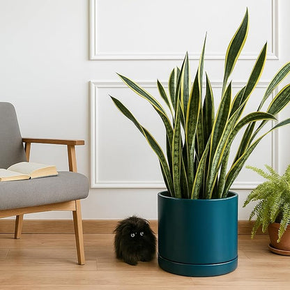 D'vine Dev 14 Inch Ceramic Planter Pot with Drainage Hole and Saucer, Indoor Cylinder Round Planter Pot, Teal, 94-O-G-9