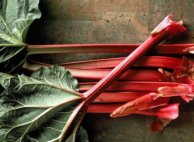 TomorrowSeeds - Victoria Rhubarb Seeds - 200+ Count - For 2026 Planting USA Garden Vegetable Perennial Red Rheum Huang Celery Rubharb Non-GMO Heirloom Grow Your Own Home Farm Patio Healthy Sustainable