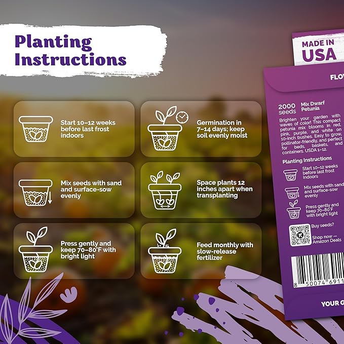 KVITER 4,000 Mix Dwarf Petunia Seeds for Planting Flowers (Nana Compacta) — Mini Petunia Flower Seeds, Annual, Organic & Non GMO — Beds, Hanging Baskets, Containers, Outdoor & Indoor Garden