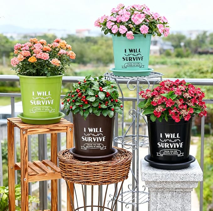 NIKONIKO 6.5 Inch Nursery Pots with Drainage and Saucers, 8 Pack, Ideal Seedling Pots and Plant Pots for Vegetables, Orchids, Aloe, Flower Pots for Indoor and Outdoor Plants