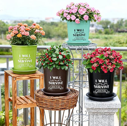 NIKONIKO 6.5 Inch Nursery Pots with Drainage and Saucers, 8 Pack, Ideal Seedling Pots and Plant Pots for Vegetables, Orchids, Aloe, Flower Pots for Indoor and Outdoor Plants