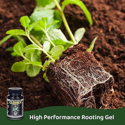 Clonex Rooting Gel - High-Performance Rooting Compound for Plant Cuttings, Contains IBA, Promotes Root Initiation & Development - 250ml