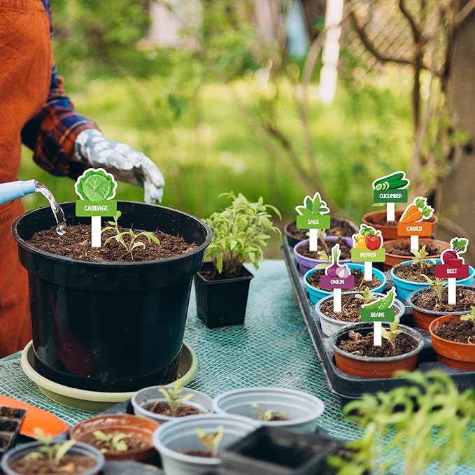 60pcs Vegetable Plant Label Signs - 26 Styles Garden Stakes Tags with Name & 8 Blank Markers Waterproof Fruit Plant Tag for Indoor Outdoor Garden Nursery Greenery Seedling Potted Plant Decoration