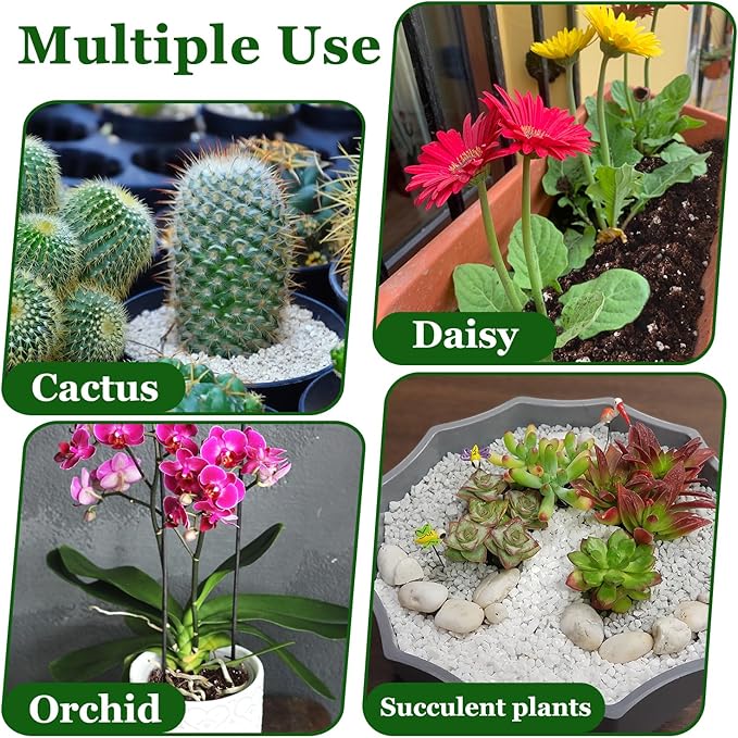Organic Horticultural Perlite,Natural Perlite Improved Drainage, Ventilation & Root Growth,Perlite Conditioner Potting Mix for Orchids,Succulents,Indoor & Outdoor Plant and Gardening-2QT
