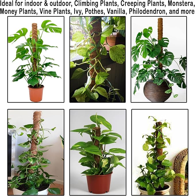 4 Pcs Moss Pole Extending to 51.1 Inches for Plants Monstera, Coco Coir Moss Sticks for Indoor Plants Support Stakes for Climbing Plants Grow Upward with Jute Rope, Tool Set and Hook-Loop Strip