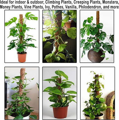 4 Pcs Moss Pole Extending to 51.1 Inches for Plants Monstera, Coco Coir Moss Sticks for Indoor Plants Support Stakes for Climbing Plants Grow Upward with Jute Rope, Tool Set and Hook-Loop Strip