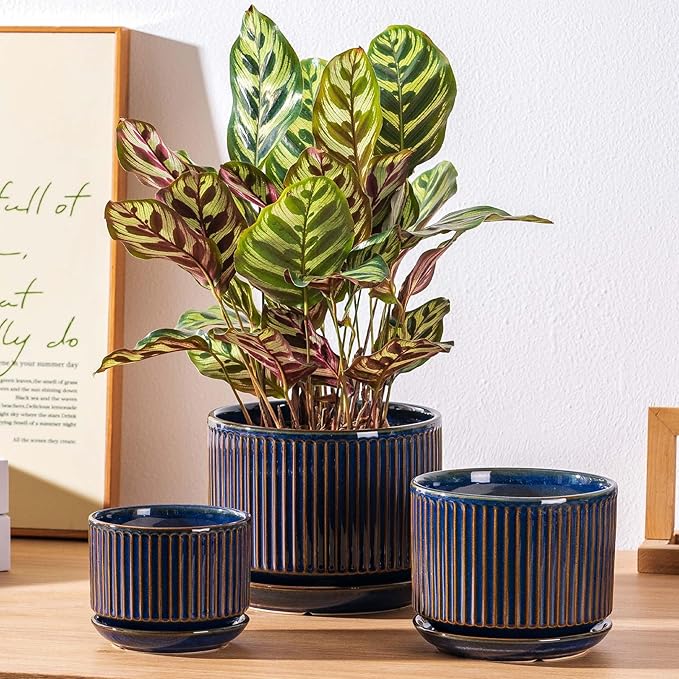 Navy Blue Ceramic Plant Pots Set of 3, 4.3+5.5+6.7 Inch Indoor Flower Pots with Drainage Hole & Saucer & Hole Mesh Pads, Striped Decorative Planter Set for Indoor Plants, Gardening Pots & Accessories