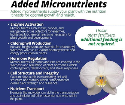 Jack's Classic 30-10-10 Orchid Special Water-Soluble Fertilizer with Micronutrients and Extra Nitrogen, Used for Turfs and Ornamental Grasses, 8oz
