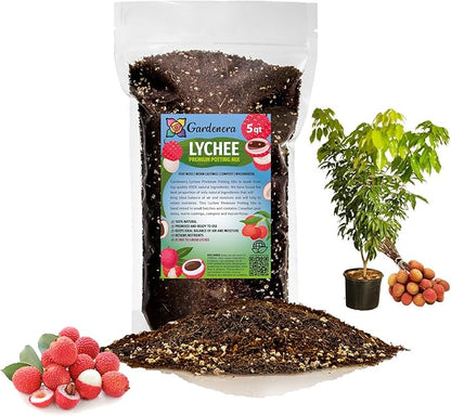 Gardenera Expertly Formulated Lychee Potting Soil Mix - Optimal Nutrient-Rich Blend for Thriving and Juicy Lychee Trees - 5 QUARTS