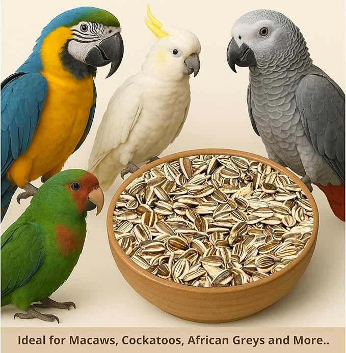 Nemeth Farms – 5 Lb Bag, Premium Large Gray Striped & Air Cleaned Sunflower Seeds, Natural Bird Food for Parrots, Cockatiels, Parakeets, Finches & Wild Birds, Non-GMO, Feeder-Ready & Plantable