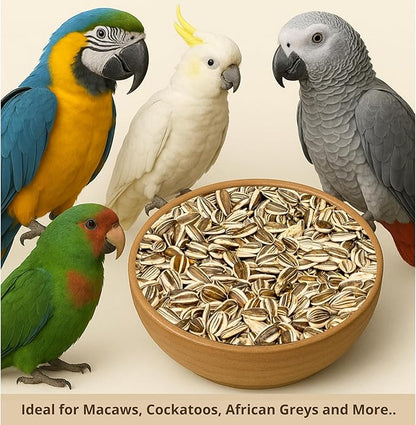 Nemeth Farms – 5 Lb Bag, Premium Large Gray Striped & Air Cleaned Sunflower Seeds, Natural Bird Food for Parrots, Cockatiels, Parakeets, Finches & Wild Birds, Non-GMO, Feeder-Ready & Plantable