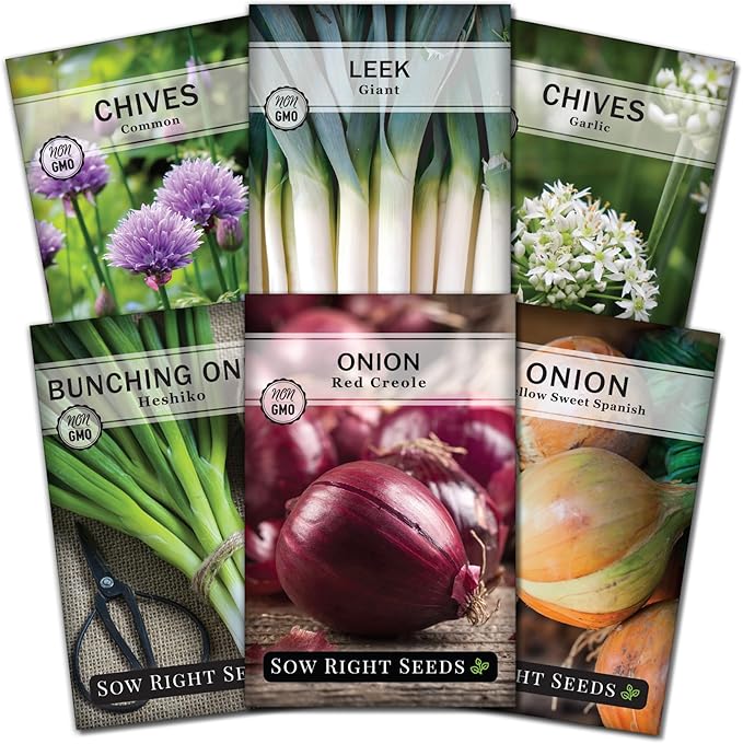 Sow Right Seeds - Onion Family Seed Collection for Planting - 6 Varieties of Chives and Onions - Hardy and Flavorful - Non-GMO Heirloom Packets with Instructions to Plant and Grow a Vegetable Garden