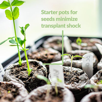 100 Count- Jiffy 36 MM Peat Soil Pellets Seeds Starting Plugs: Indoor Seed Starter- Start Planting Indoors for Transplanting to Garden or Planter Pot