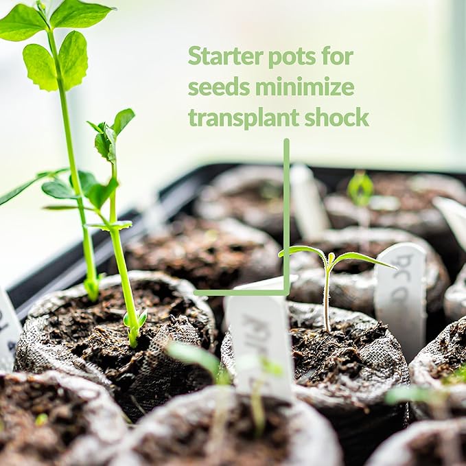 Jiffy Peat Soil Pellets Seed Starter Plugs - for Indoor Seedlings, Plant Starter - 500 Count - Peat