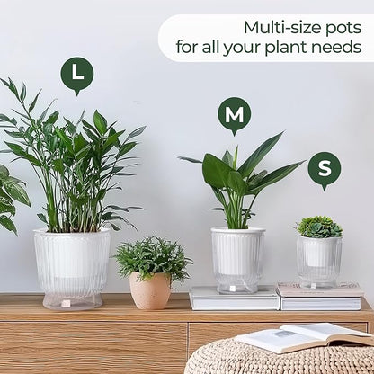T4U 6 Inch Self Watering Pots for Indoor Plants, 4 Pack Self Watering Planter, Self Watering Pot with Reservoir, Clear Self Watering Pots for Indoor Plants, African Violets (4 Pack, 6", Clear)