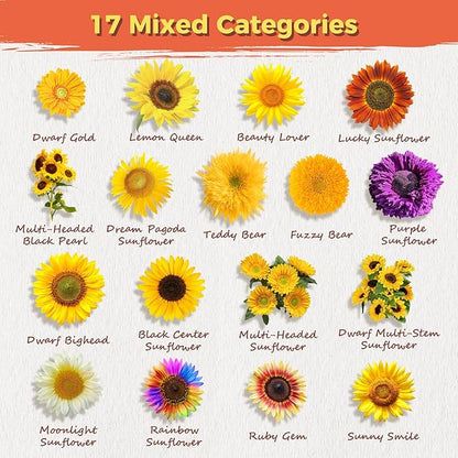Sunflower Seeds for Planting | Giant Mammoth Sunflower Bulk Packet 3000+ Heirloom Seeds | High Germination, Open Pollinated Sunflower Seeds to Plant for Home Garden, Outdoors & Attracts Pollinators