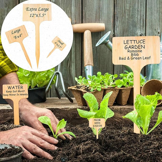 100 Pack 4.5 Inch Tall Plant Labels Garden Markers Plant Name Tags Great Holiday Gift for Plant Lovers and Gardeners Easy to See Writing Area with Full Size Marker