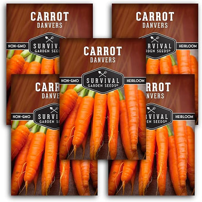 Danvers Carrot Seeds – Danvers 126 Half-Long Carrots for Planting, High-Yield Heirloom Variety – Non-GMO, Open Pollinated Garden Carrot Seeds – Survival Garden Seeds (5 Packs)