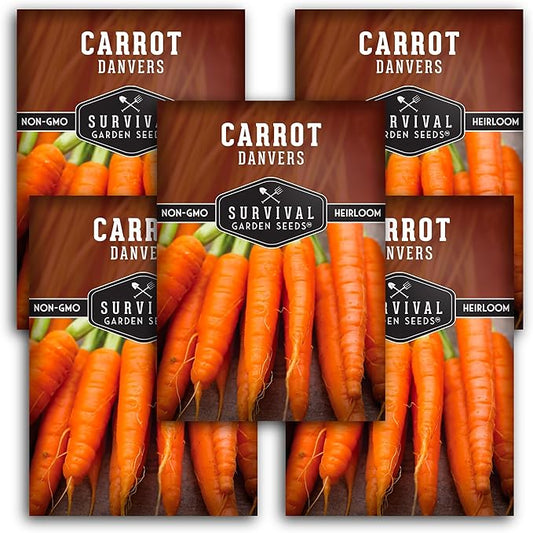 Danvers Carrot Seeds – Danvers 126 Half-Long Carrots for Planting, High-Yield Heirloom Variety – Non-GMO, Open Pollinated Garden Carrot Seeds – Survival Garden Seeds (5 Packs)