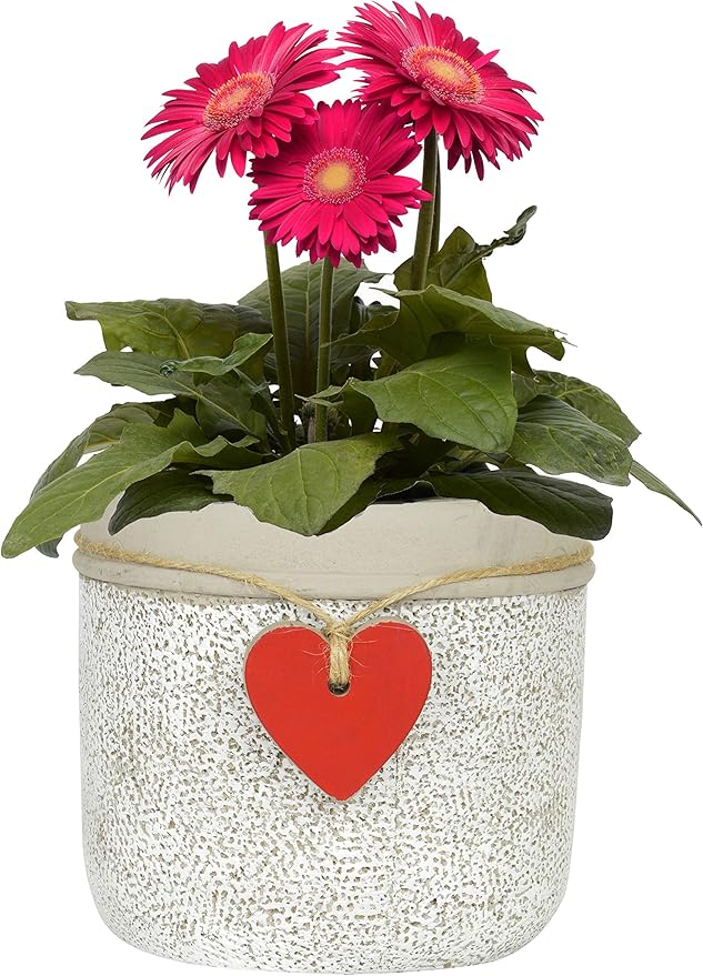 Classic Home and Garden 210028P-396 Heart Pot Planter, Large, Whitewash