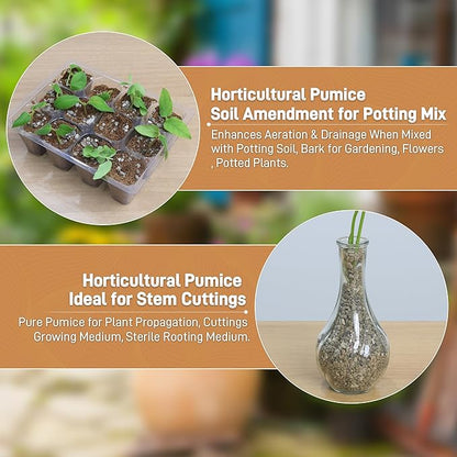 Horticultural Pumice for Plants, 3 Quarts Bag （4.4IB） Natural Soil Amendment, 1/4" Particle Size for Succulent, Cactus, Bonsai Tree, Orchid Potting Mix