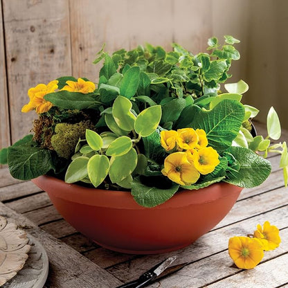 The HC Companies 24 Inch Large Garden Bowl Planter - Shallow Plant Pot with Drainage Plug for Indoor Outdoor Flowers, Herbs, Clay