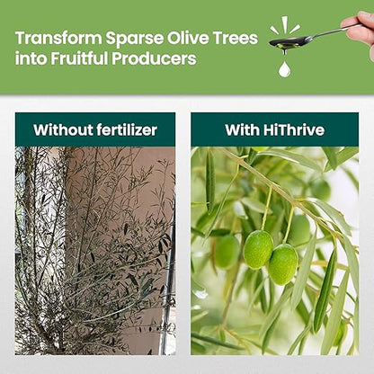16oz Olive Tree Fertilizer – Makes 16 Gallons of Olive Plant Food – 2-in-1 Liquid Plant Food with Macronutrients + Micronutrients for Lush Foliage, Strong Roots, Bountiful Harvests & Plump Fruits