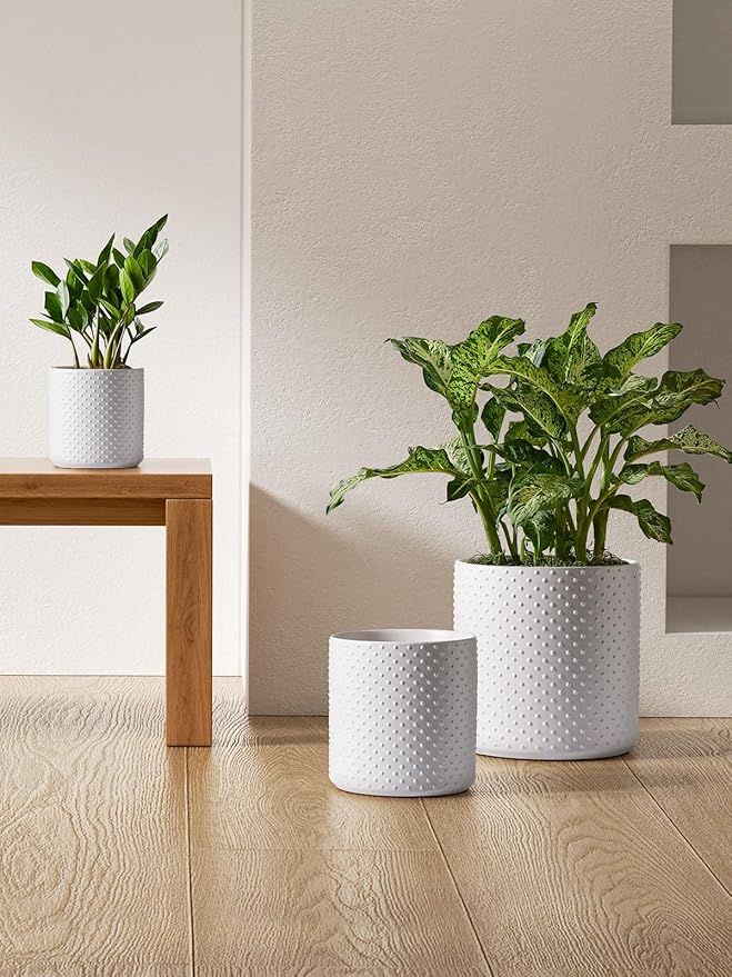 LE TAUCI Ceramic Pots for Plants, 10/8/6 Inch Indoor Planters with Draiange Hole, Silicone Plug & Mesh Pad, Modern Rasied-Dots Pots for Home Office, Set of 3, Satin, White