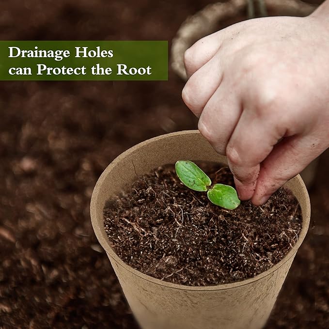 160 Pieces Peat Pots Seed Starters 4 Inch Peat Pots Round Biodegradable Seed Starting Pots with 160 Plant Labels, Planter Nursery Pots with Drainage Holes for Vegetable Seed