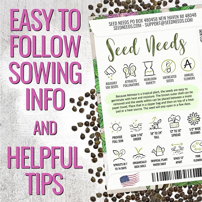 Seed Needs Sensitive Plant Seeds for Planting Mimosa pudica - Heirloom & Open Pollinated Annual Flowers - Pink Blooms with Leaves That React to Touch (2 Packs)