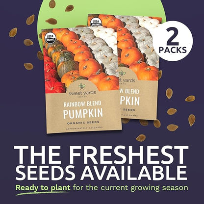Organic Rainbow Blend Pumpkin Seeds – Two Seed Packets! Over 15 Open Pollinated Non-GMO Seeds – Sweet Yards Seed Co.