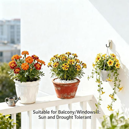 1000+ Marigold Seeds for Planting, Mixed Color Marigold Seeds Heirloom Garden Flower, Flower to Plant Open Pollinated Annual Flowers for Vibrant Annual Blooms Pots Outdoor Garden